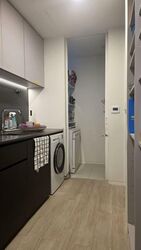 Amber Park (D15), Condominium #560749991